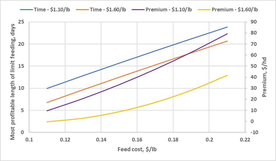 Graph Limit Feeding Finishing Phase
